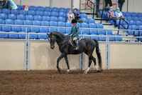 2020 - AB Morgan Horse - Fri, Sept 04 - 07731