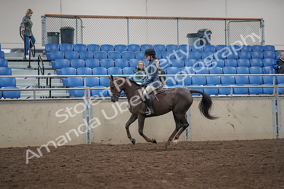 2019 Morgan Horse Show - Aug 31, 2019 - 07336