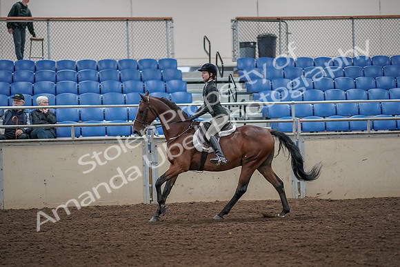 2019 Morgan Horse Show - Aug 31, 2019 - 05034