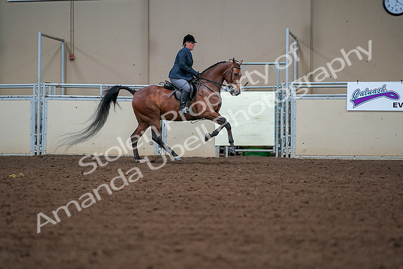 2019 Morgan Horse Show - Aug 30, 2019 - 20989