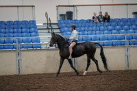 2019 Morgan Horse Show - Aug 30, 2019 - 31040