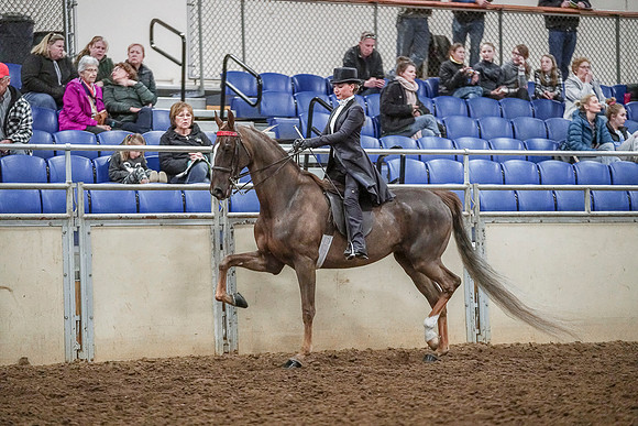 Spring Fling - Saturday - April 20, 2019  -  04130