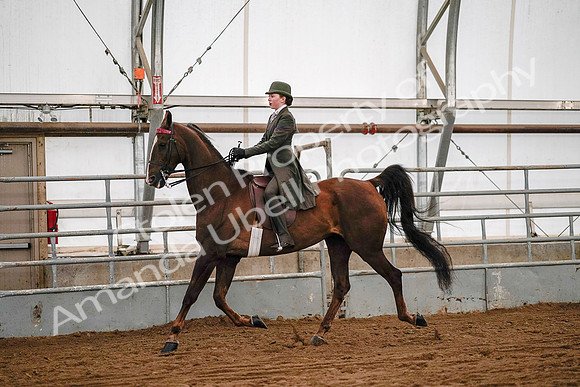 July 19, 2019 - 8902