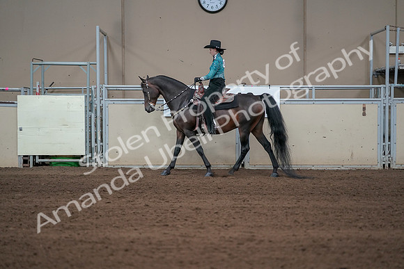 2019 Morgan Horse Show - Sept 01, 2019 - 06924