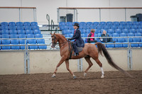 2019 Morgan Horse Show - Aug 31, 2019 - 16892