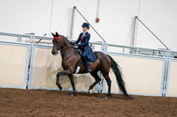 2020 - AB Morgan Horse - Sat, Sept 05 - 08535