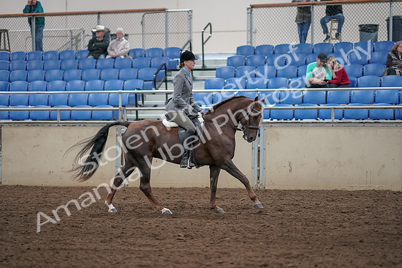 2019 Morgan Horse Show - Aug 31, 2019 - 07499