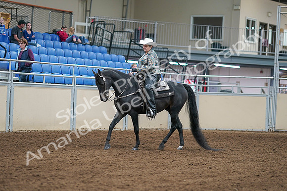 2020 - AB Morgan Horse - Fri, Sept 04 - 03503