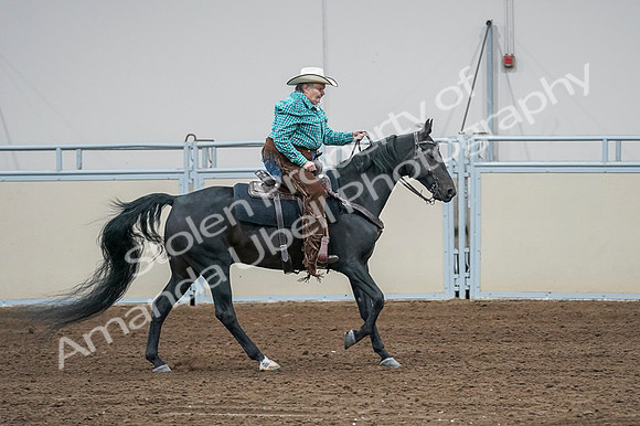 2020 - AB Morgan Horse - Fri, Sept 04 - 00614