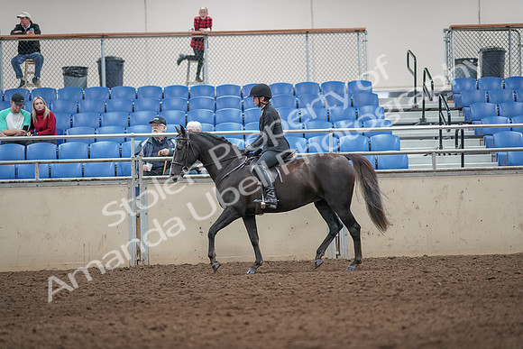 2019 Morgan Horse Show - Aug 31, 2019 - 07194