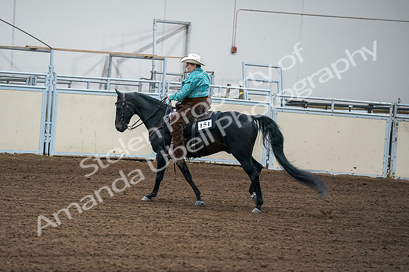 2020 - AB Morgan Horse - Fri, Sept 04 - 00589