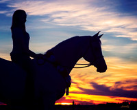 Arabians - 233