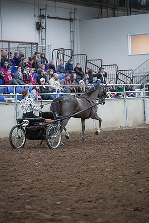 Spring Fling - Saturday - April 20, 2019  -  00255