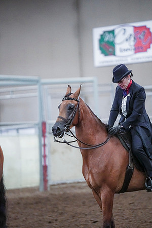 Spring Fling - Saturday - April 20, 2019  -  00845