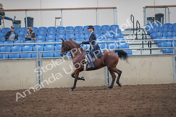 2019 Morgan Horse Show - Aug 31, 2019 - 08723