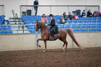 2019 Morgan Horse Show - Aug 31, 2019 - 12174