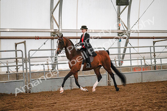 July 19, 2019 - 9037