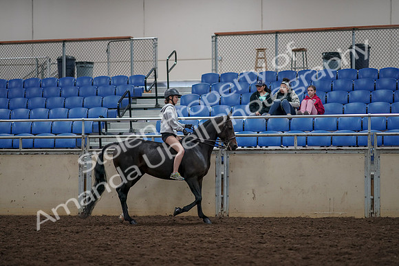 2019 Morgan Horse Show - Aug 30, 2019 - 31388