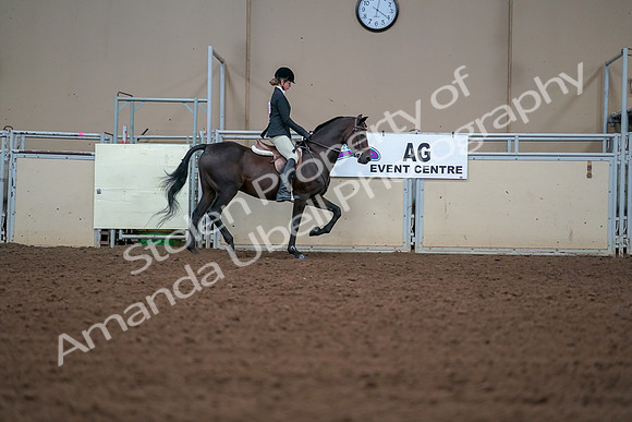 2019 Morgan Horse Show - Aug 30, 2019 - 20814