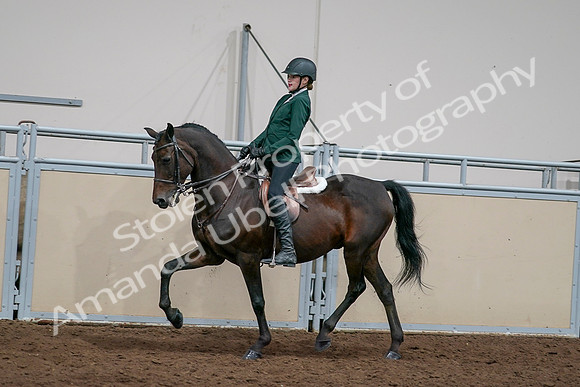 2020 - AB Morgan Horse - Sat, Sept 05 - 05046