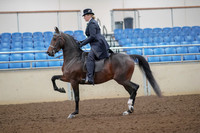 2019 Morgan Horse Show - Aug 30, 2019 - 24300