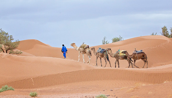 Morocco - 115