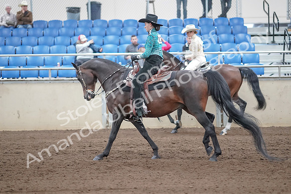 2019 Morgan Horse Show - Sept 01, 2019 - 07012