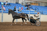 2020 - AB Morgan Horse - Sat, Sept 05 - 05843