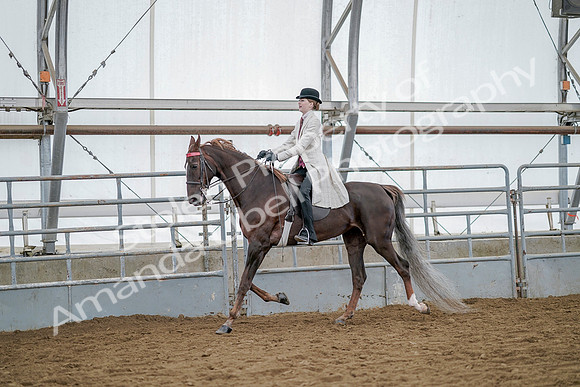 July 20, 2019 - 14646