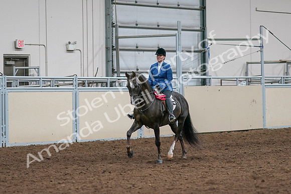 2020 - AB Morgan Horse - Sat, Sept 05 - 05224