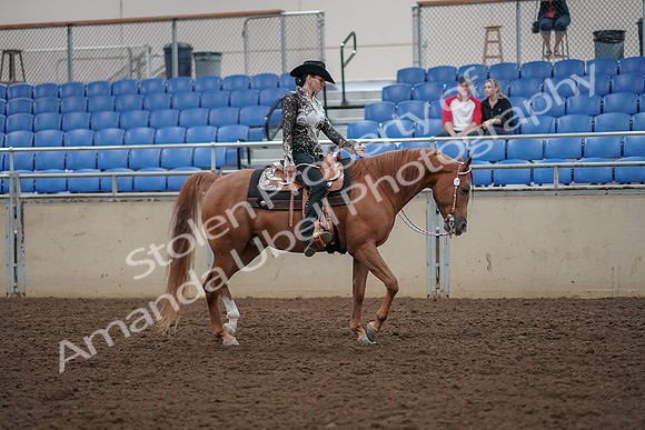 2019 Morgan Horse Show - Aug 30, 2019 - 26226