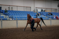 2019 Morgan Horse Show - Aug 31, 2019 - 00537