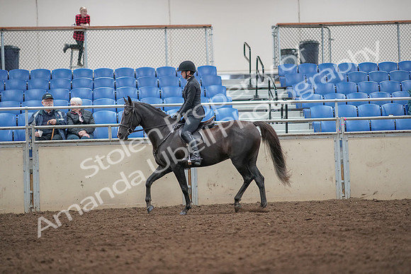 2019 Morgan Horse Show - Aug 31, 2019 - 07188
