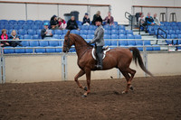 2019 Morgan Horse Show - Aug 31, 2019 - 13774