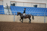2019 Morgan Horse Show - Aug 30, 2019 - 12140