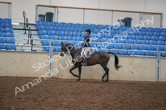 2019 Morgan Horse Show - Aug 30, 2019 - 12140