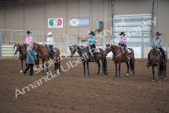 2019 Morgan Horse Show - Sept 01, 2019 - 07241