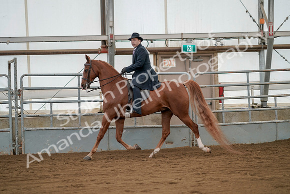 July 20, 2019 - 02103