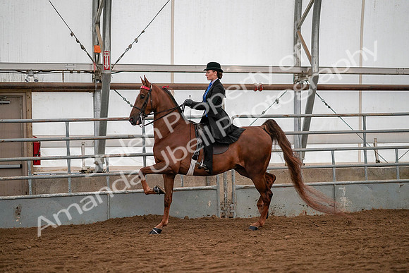 July 19, 2019 - 10473