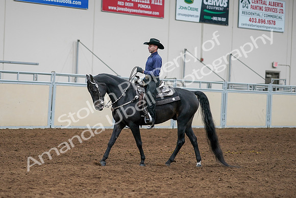2020 - AB Morgan Horse - Sun, Sept 06 - 07650