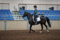 2019 Morgan Horse Show - Aug 31, 2019 - 07163