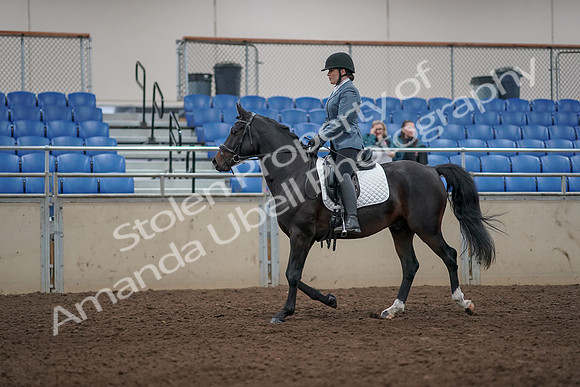 2019 Morgan Horse Show - Aug 31, 2019 - 07163