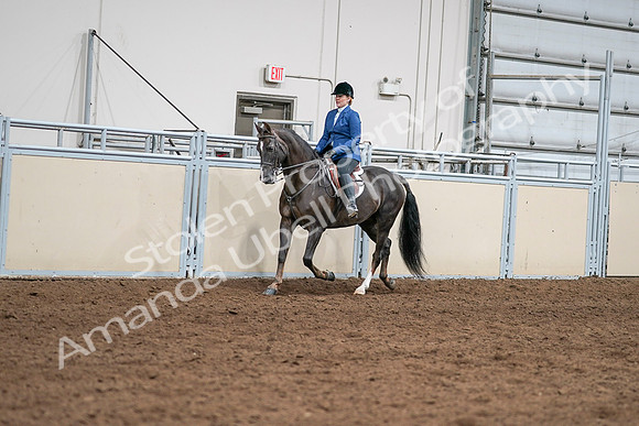 2020 - AB Morgan Horse - Sat, Sept 05 - 04983