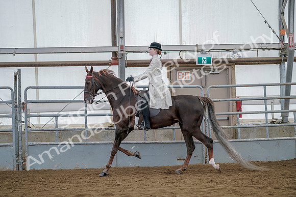 July 20, 2019 - 14674