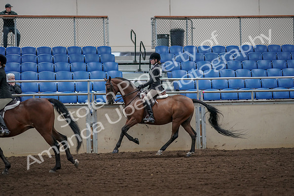 2019 Morgan Horse Show - Aug 31, 2019 - 05110