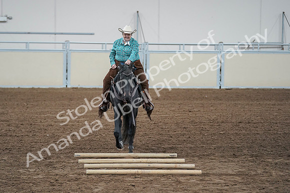2020 - AB Morgan Horse - Fri, Sept 04 - 00632