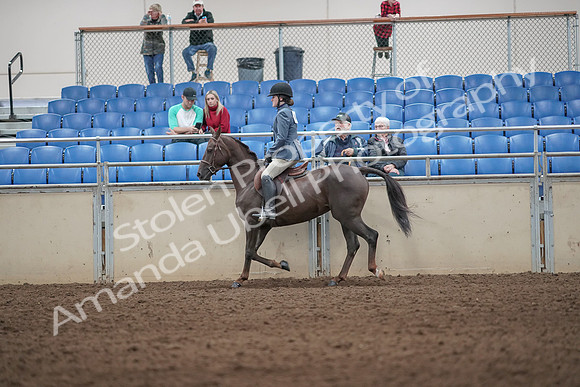 2019 Morgan Horse Show - Aug 31, 2019 - 07209