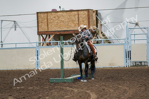 2020 - AB Morgan Horse - Fri, Sept 04 - 00358