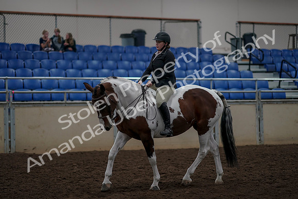 2019 Morgan Horse Show - Aug 30, 2019 - 31187