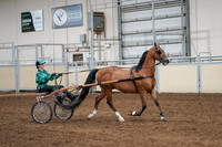 2020 - AB Morgan Horse - Sat, Sept 05 - 12449